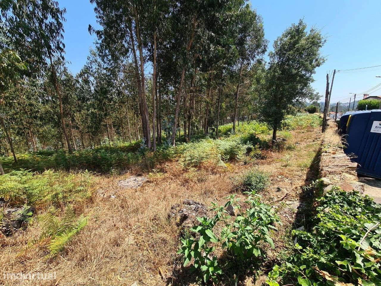 Terreno para construção em Nogueira do Cravo-7