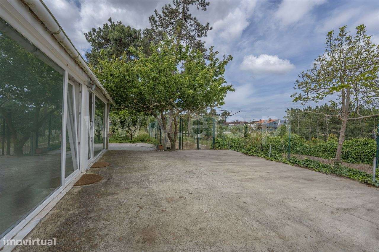 Magnifica Quinta T7; Verdizela - Grande imagem: 4/49