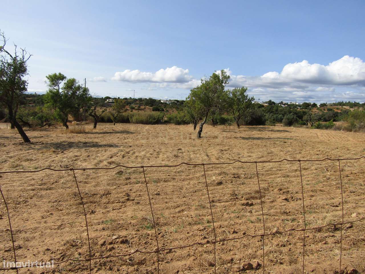 Terreno Rústico - Grande imagem: 4/8
