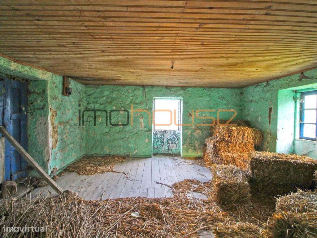 Quinta de 2ha com várias edificações - Terreno Plano-13