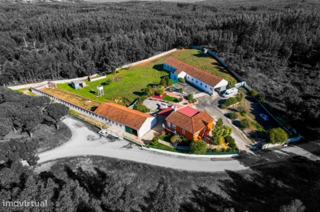 Quintinha com habitação, armazéns e terreno - Rio Maior-6