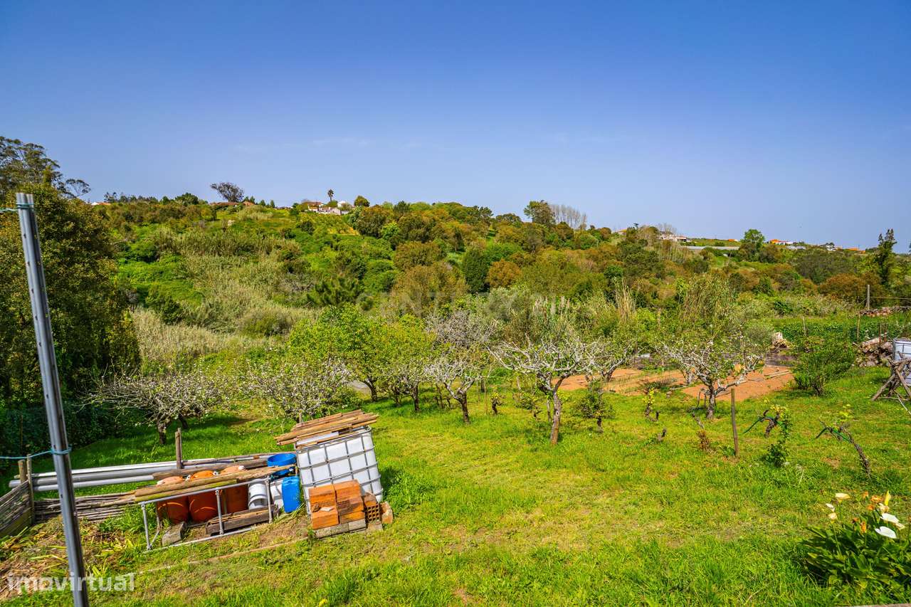 Moradia T3 localizada no Carvalhal, Bombarral-37