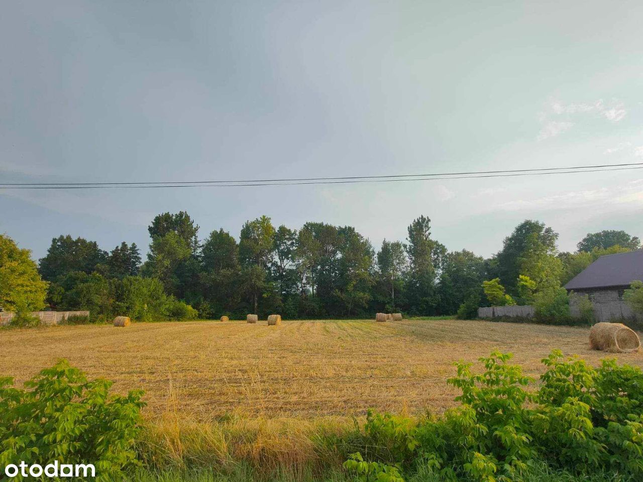 Działka 50a - Budziejowice ( pow. Proszowice ) - Pełny obrazek: 1/7