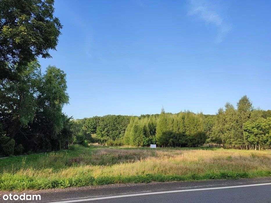 Działka budowlana pod lasem, Jawiszowice-8