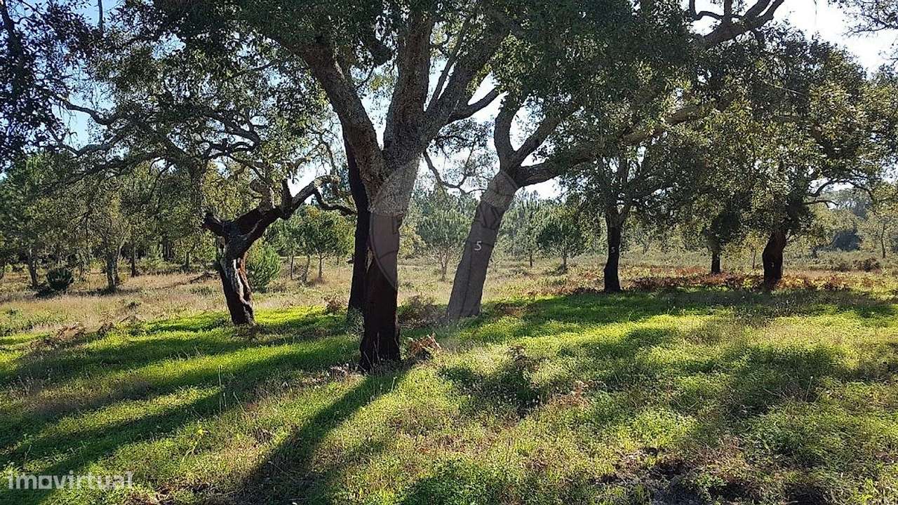 Quinta T4 para venda - Grande imagem: 5/15