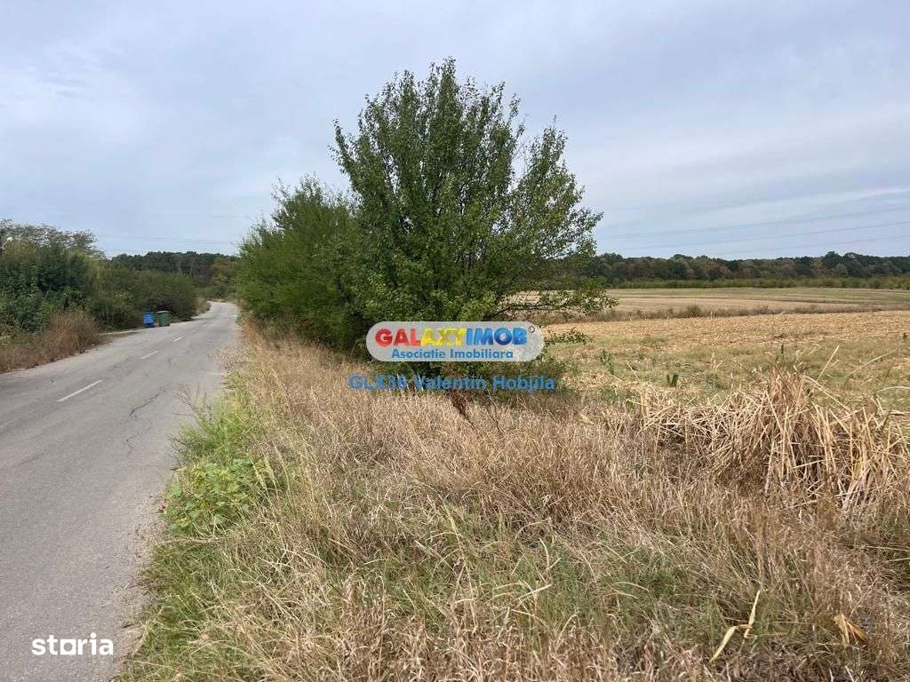 Vanzare teren 3300 mp Peris -deschidere padurea Scrovistea - Imagine principală: 4/5