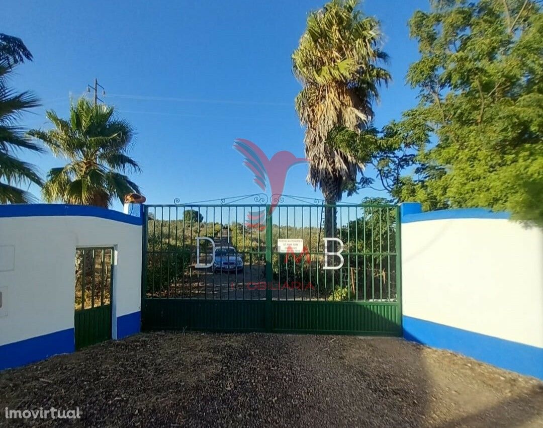 Quinta 2,5 hectares com moradia