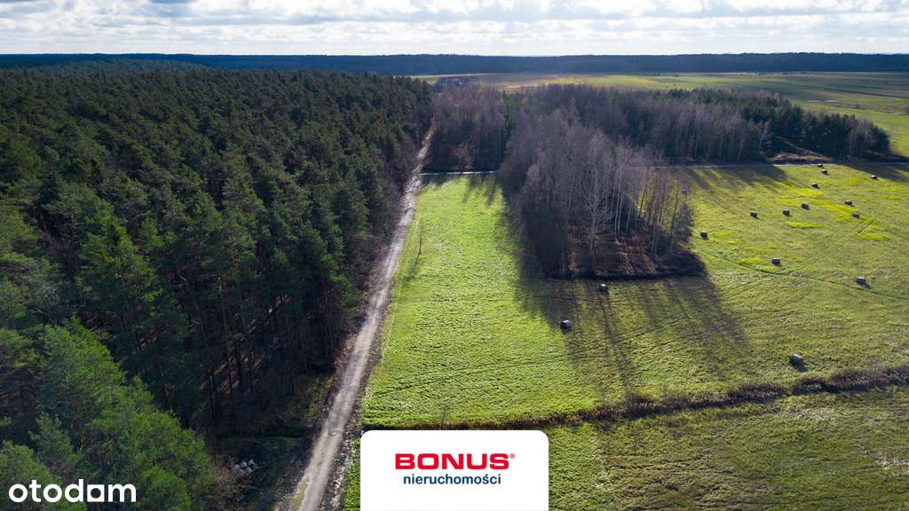 Działki budowlane 13ar | Nowy Nart | - Pełny obrazek: 4/6