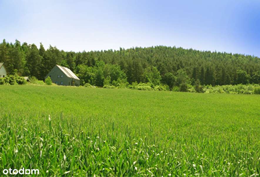 *Sulistrowice* Działka budowlana * Starodrzew * Media *-6