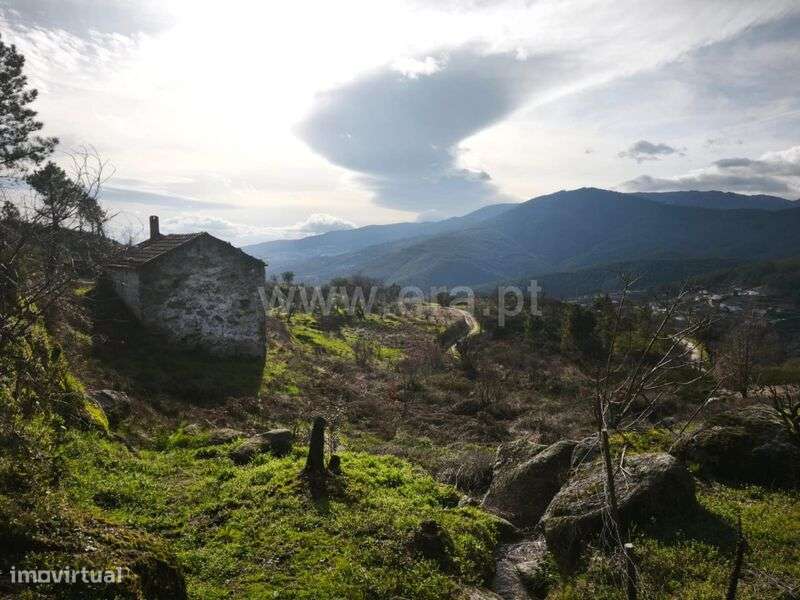 Quintinha T1 / Covilhã, Teixoso e Sarzedo - Grande imagem: 4/14