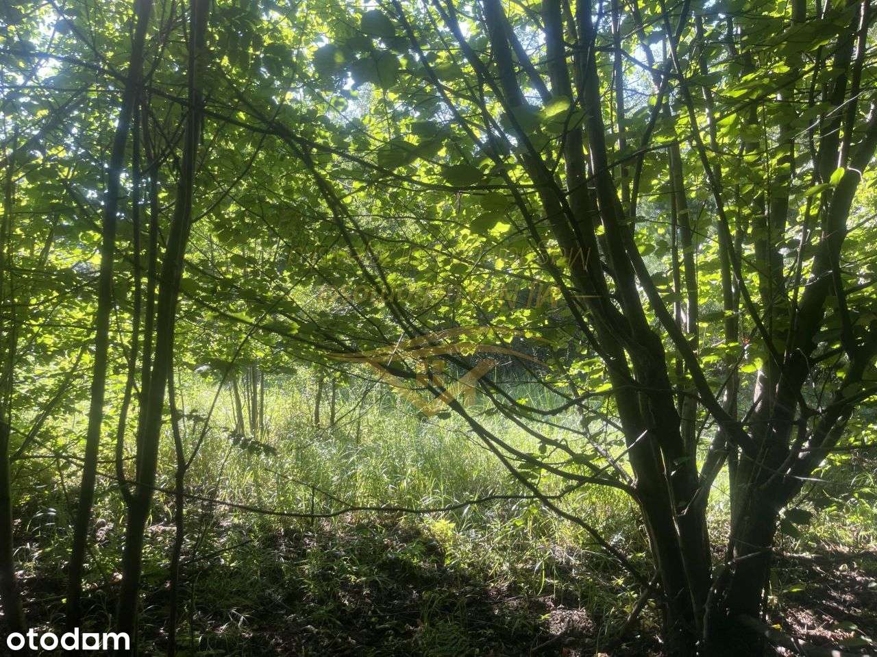 Usługowa , Blisko S8 - Pełny obrazek: 5/7