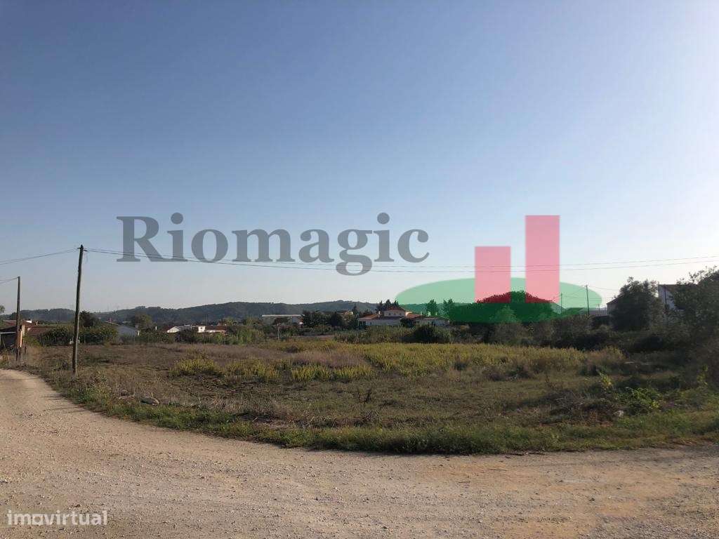 Terreno com Viabilidade de Construção Tagarro-Alcoentre***RIOMAGIC*** - Grande imagem: 2/13