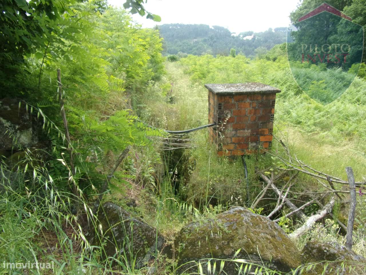 Terreno Misto  Venda em Orgens,Viseu - Grande imagem: 5/10