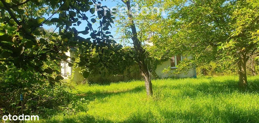 Duża działka budowlana z domkiem i sadem.-4