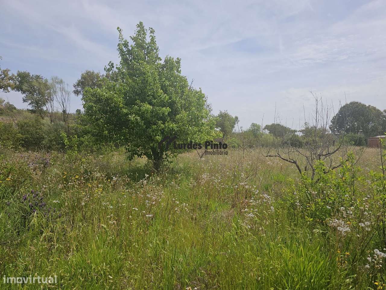 Quinta perto de Castelo Branco-16