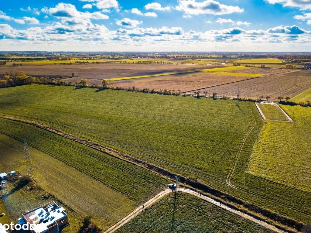 Zalasewo, ulica Spacerowa Nowy podział - Pełny obrazek: 4/14