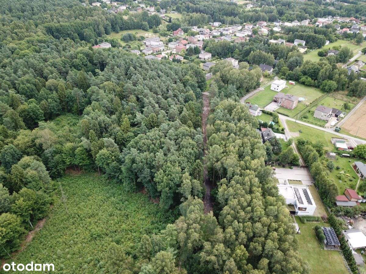 Działka budowlana z lasem / 10 min do A1 - Pełny obrazek: 5/6