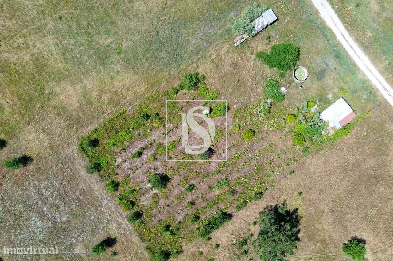 Terreno Rústico com Potencial Agrícola e Residencial na Lagoa do Calvo - Grande imagem: 2/14