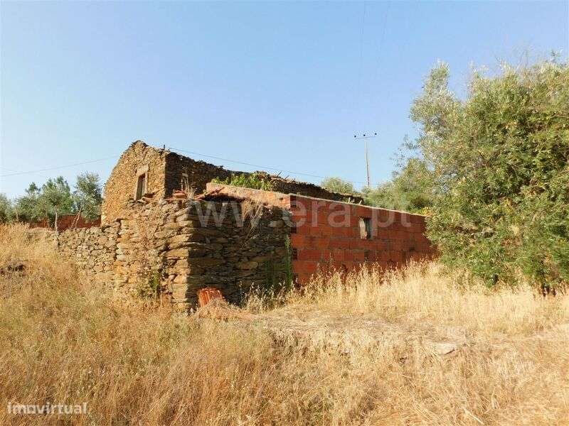 Terreno com ruina / Fundão, Enxames - Grande imagem: 5/5