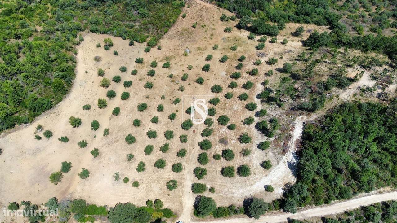 Terreno  Venda em Carregueiros,Tomar-2