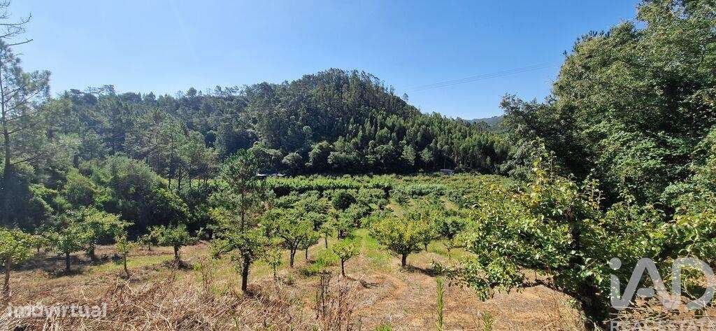 Terreno em Azueira e Sobral da Abelheira de 6250,00 m2 - Grande imagem: 4/28