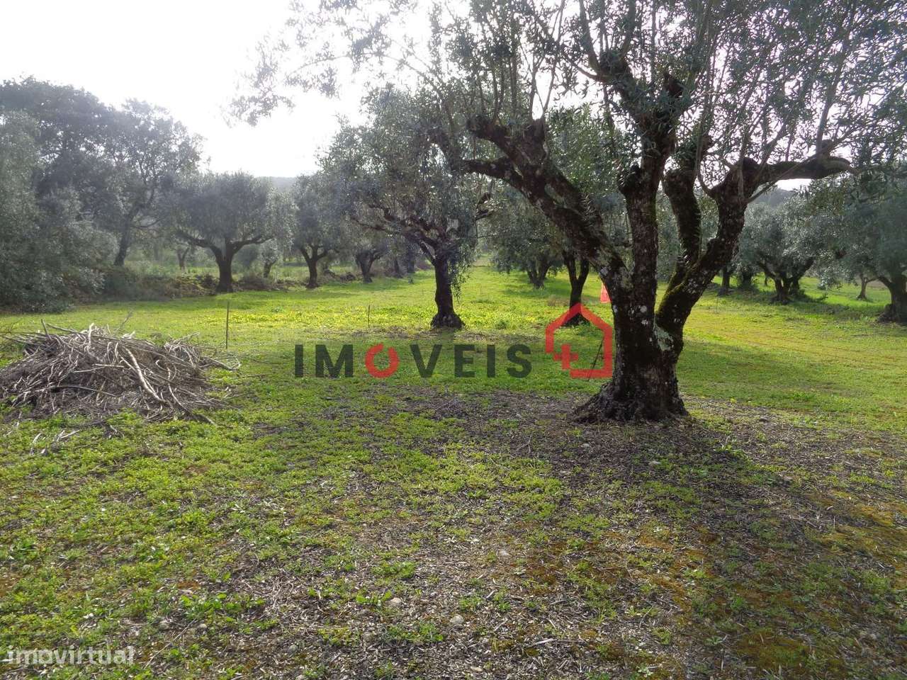 Terreno Rústico - Grande imagem: 2/6