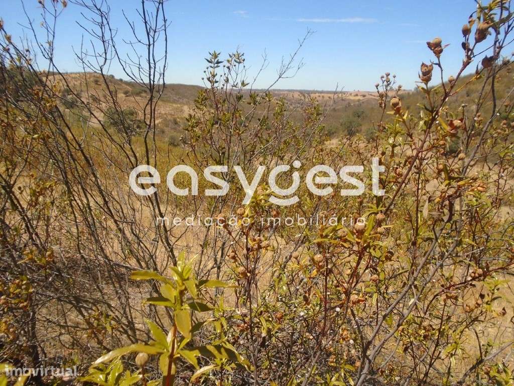 Terreno Rústico em Corte do Pinto - Grande imagem: 5/13