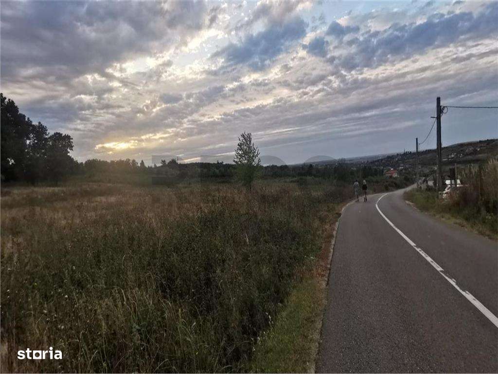 RECO Parcele de vanzare Paleu - Imagine principală: 2/2