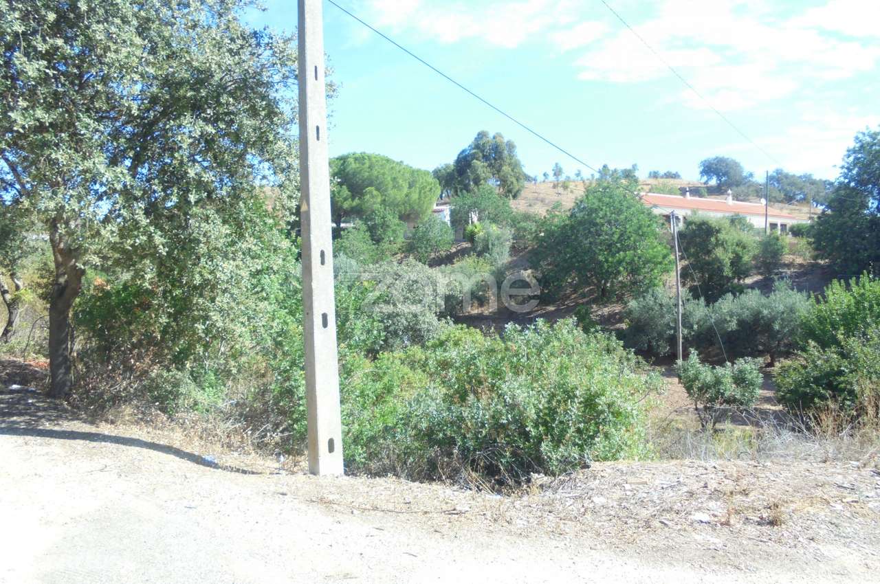 Terreno Rústico Ribeira do Arade, S. Bartolomeu de Messines - Grande imagem: 4/15