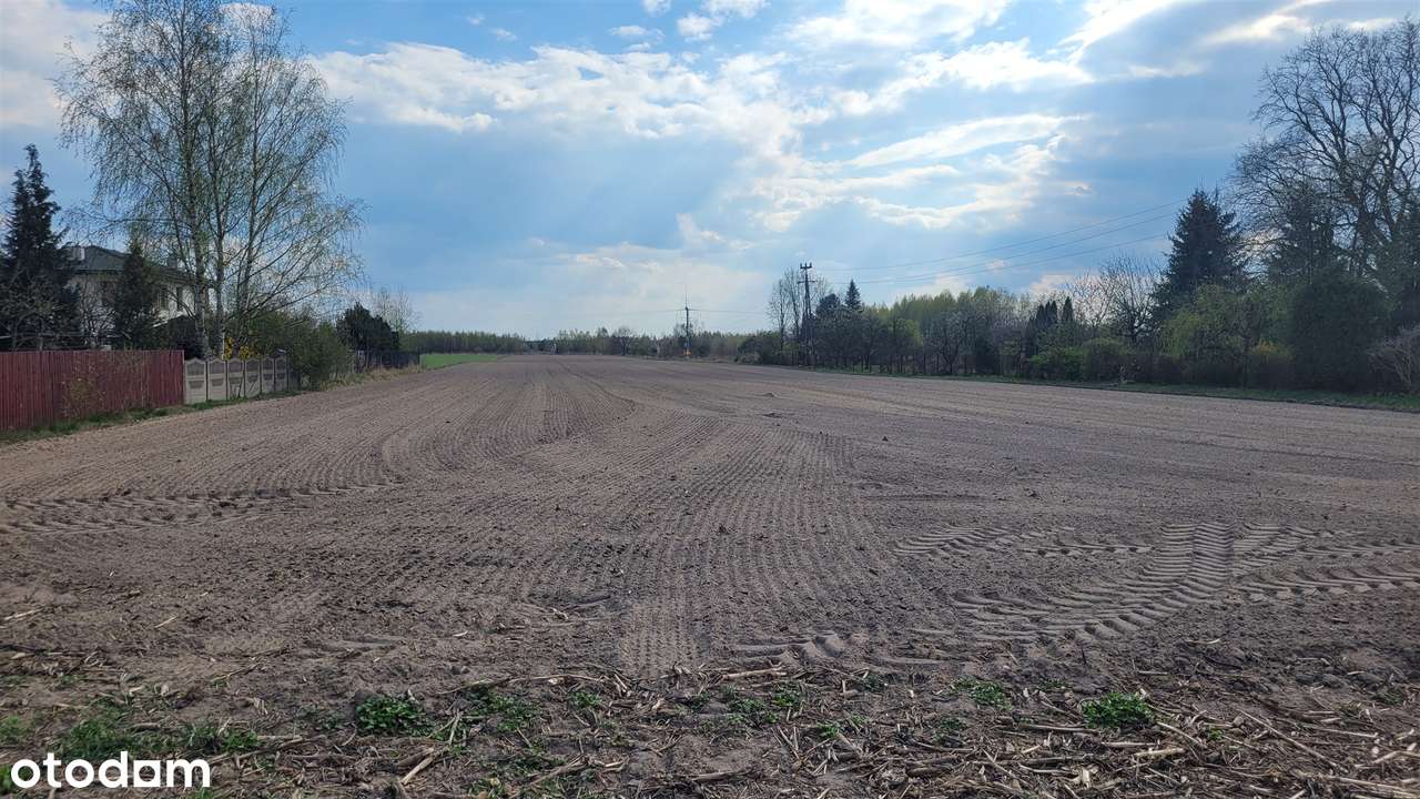 grunt deweloperski pod domy i usługi gmina Leszno - Pełny obrazek: 2/6
