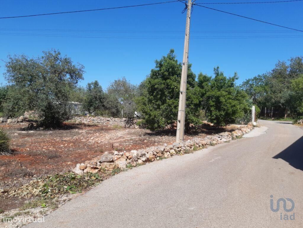 Terreno Agrícola em Faro de 9700,00 m2