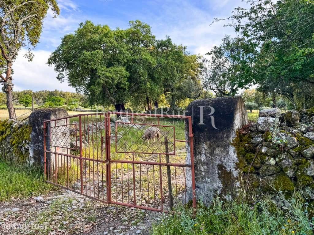 Quinta de 10 ha com projeto aprovado para 2 moradias em Marvão-49