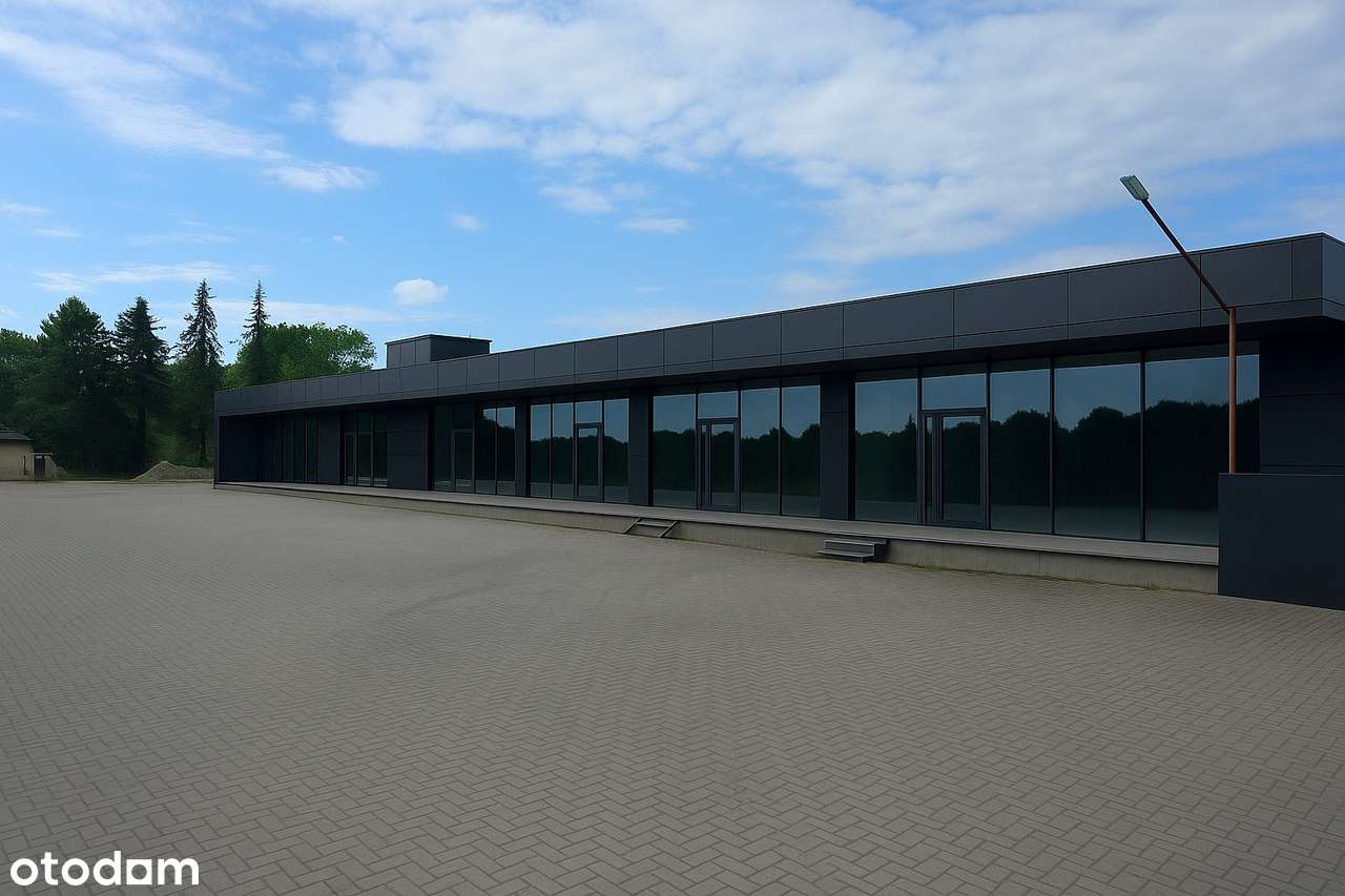 Lokal handlowo-usługowy 300 m2 Łęczyńska - Pełny obrazek: 1/3