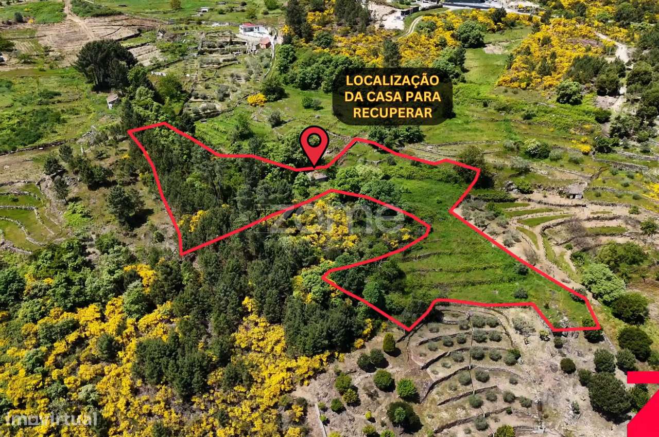 Casa c/ Terreno de 4437m2 em Santa Marta de Penaguião, Douro - Grande imagem: 4/35