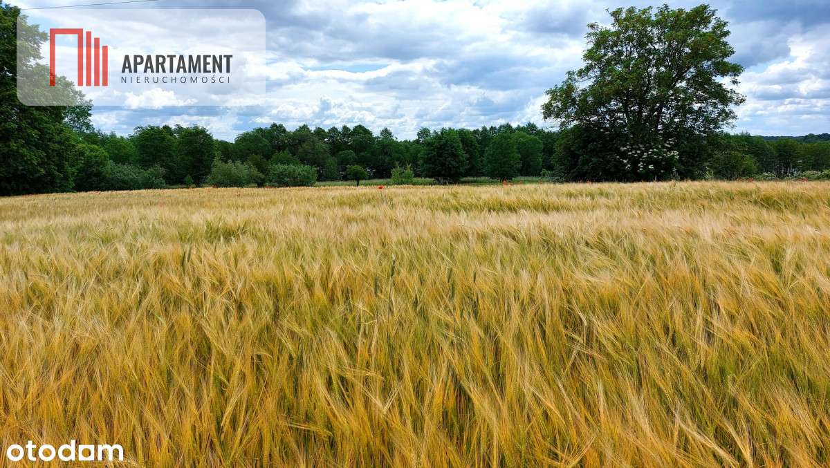 Wybuduj dom -  Krajeński Park Krajobrazowy! - Pełny obrazek: 4/16