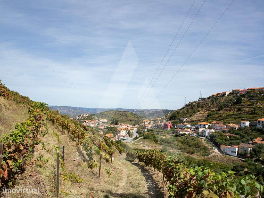 Quinta no Alto Douro - Região Demarcada do Douro - Grande imagem: 5/15