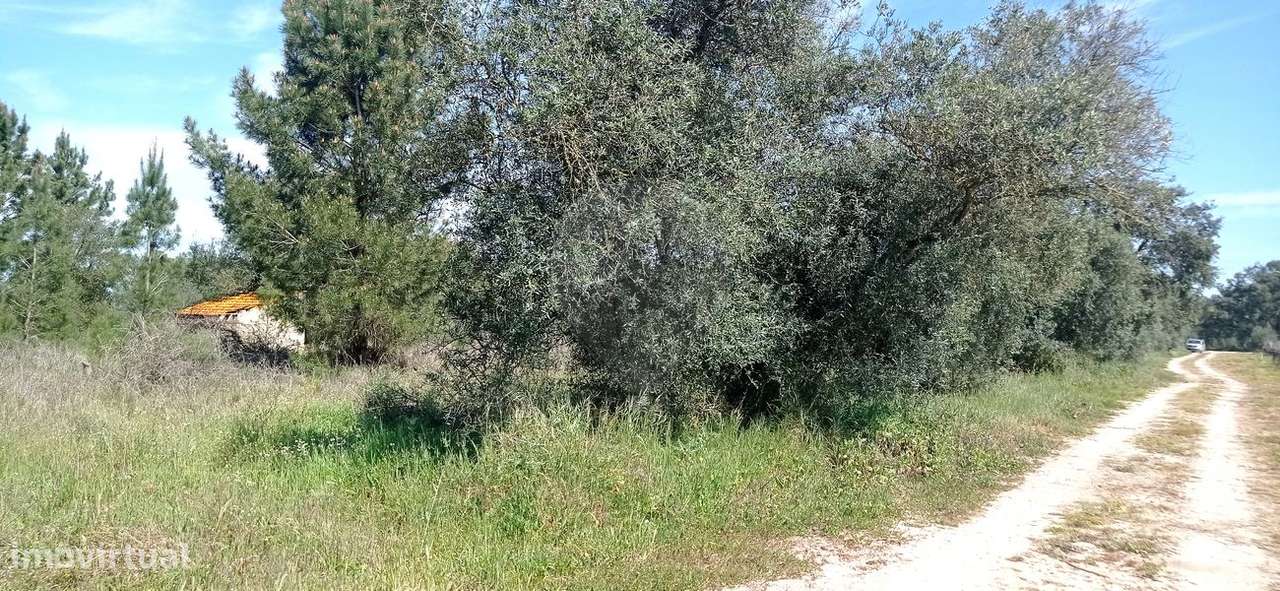 Terreno  para venda - Grande imagem: 5/9