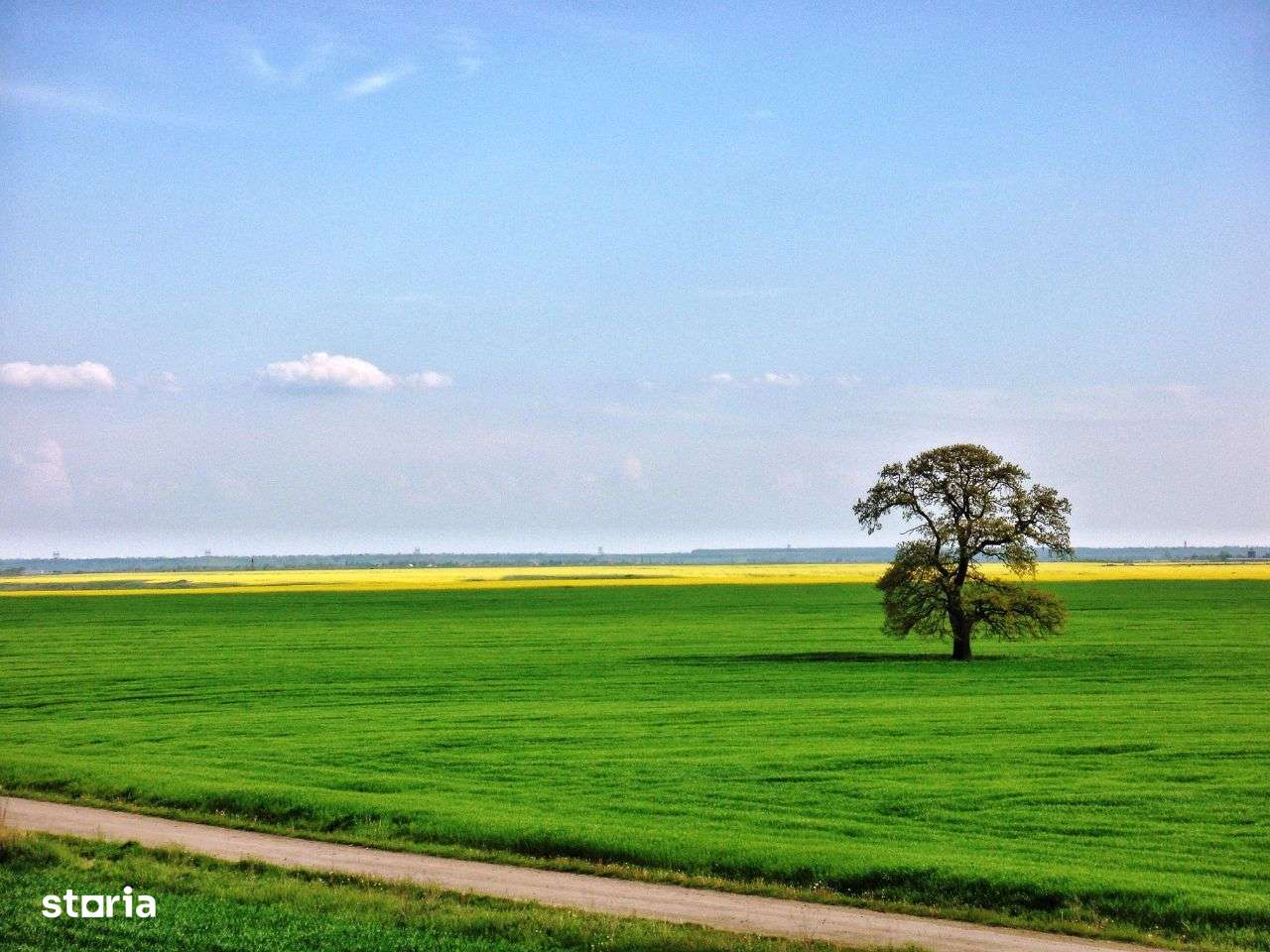 Teren intravilan. Zona Frumusani. POT & CUT foarte mari! Frumos.Natură-10