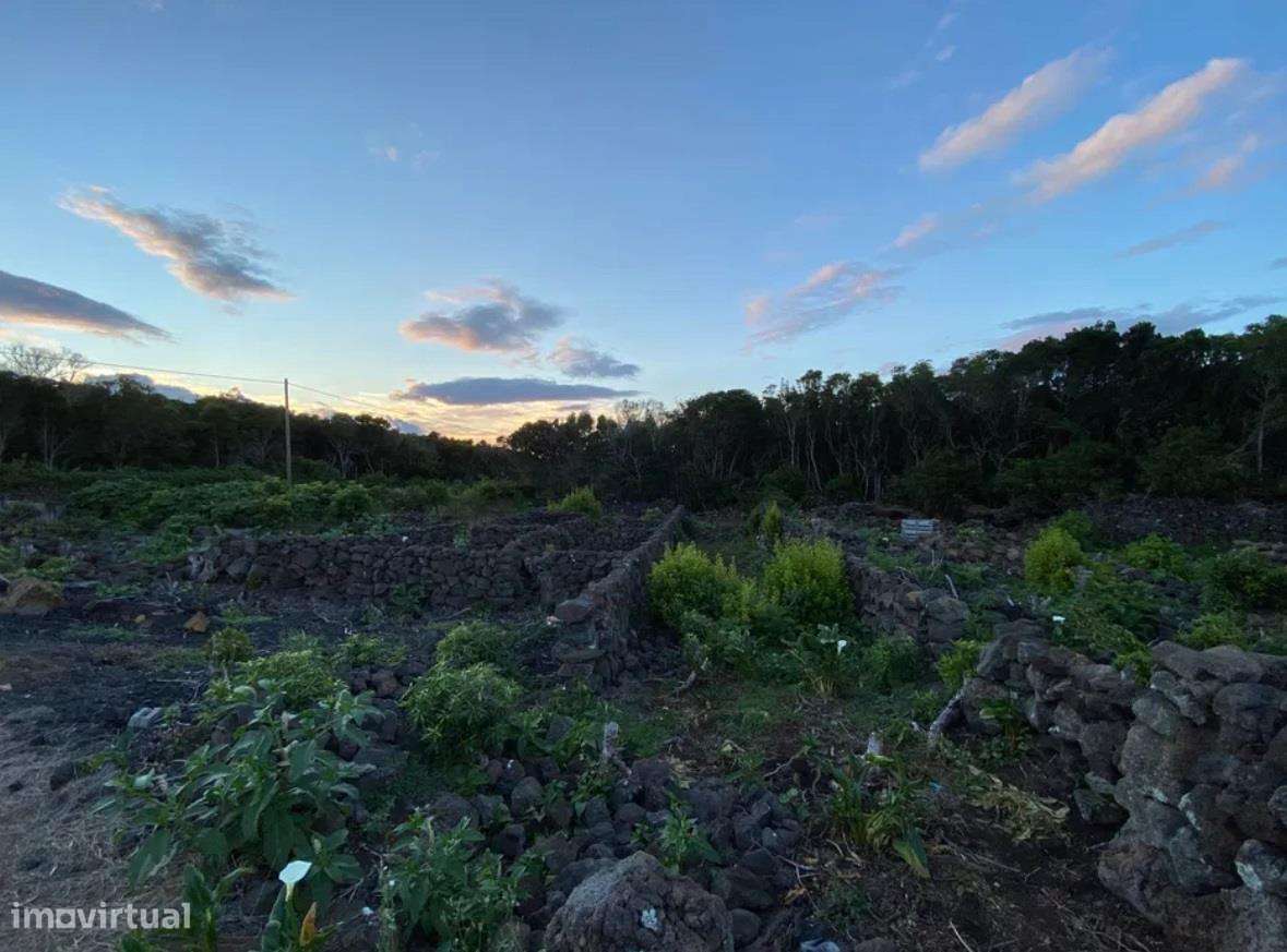 Terreno na Ilha do Pico - Grande imagem: 4/4
