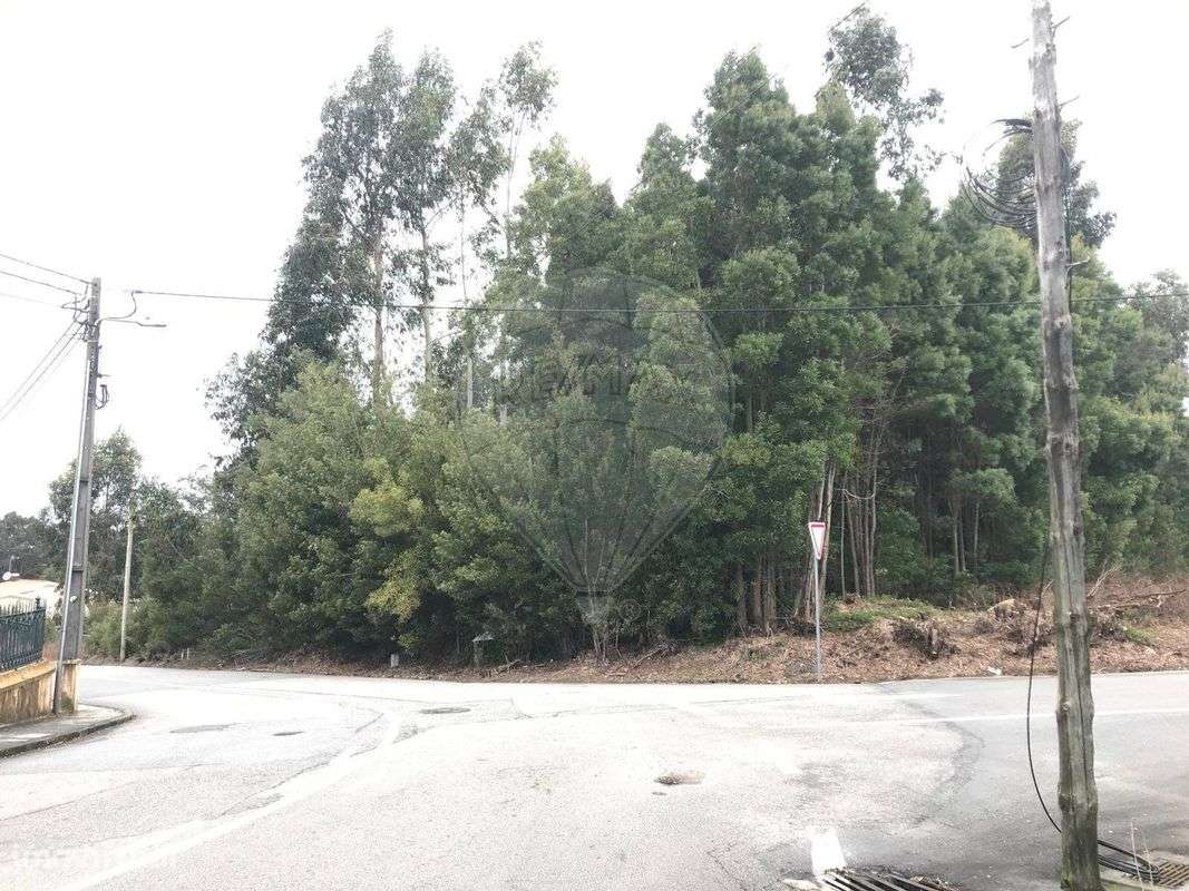 Terreno  para venda - Grande imagem: 5/13