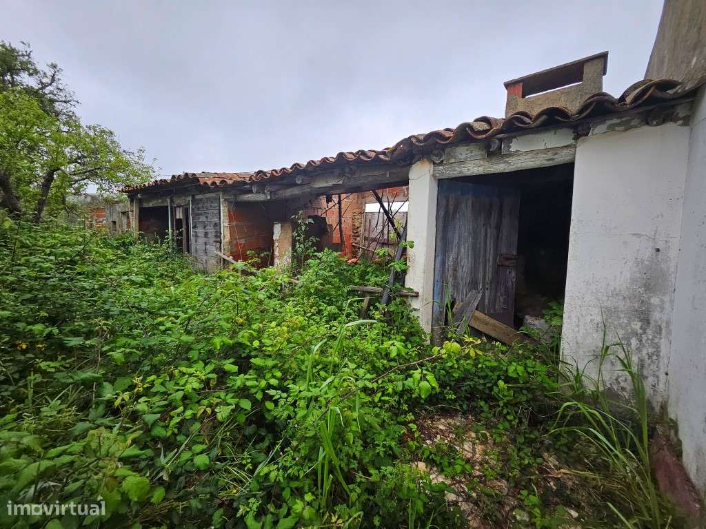 EXCLUSIVO! Quinta com Enorme Potencial no Coração do Alentejo Um Re...-34