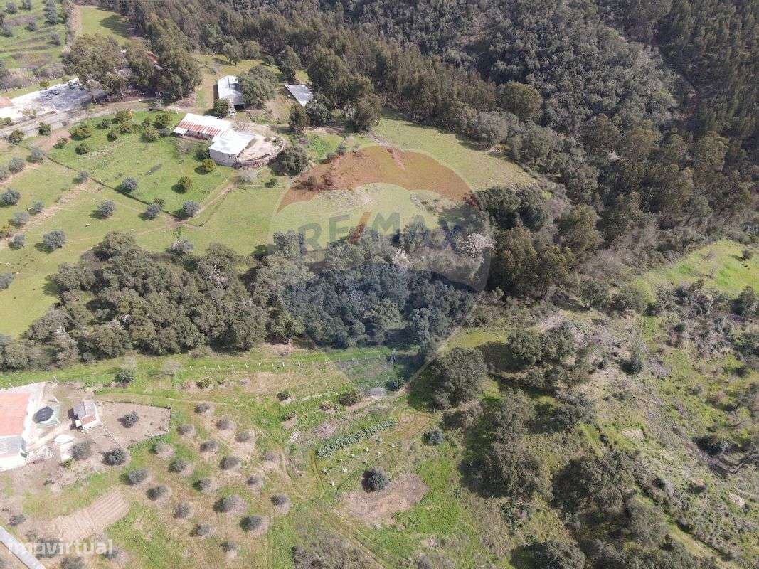 Terreno  para Venda - Grande imagem: 5/5