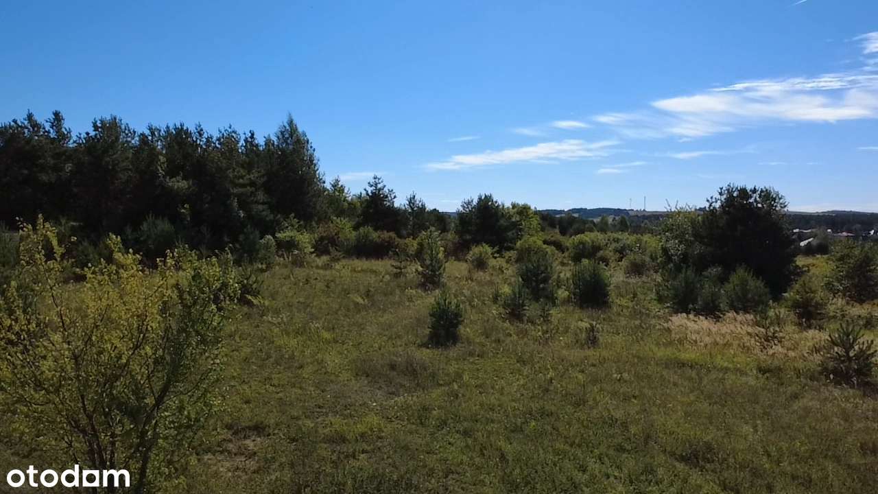 Działka pod rezydencję. - Pełny obrazek: 5/7