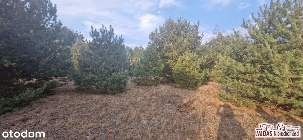 Działka, 1 200 m², Kowal-3