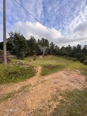 Quinta em Alegrete - Grande imagem: 4/8