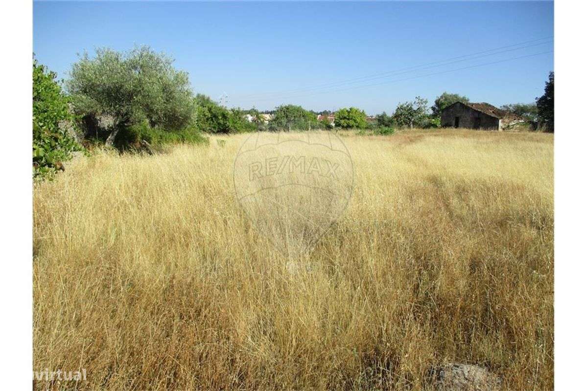 QUINTA COM 1,65 HA!!! - Grande imagem: 2/29