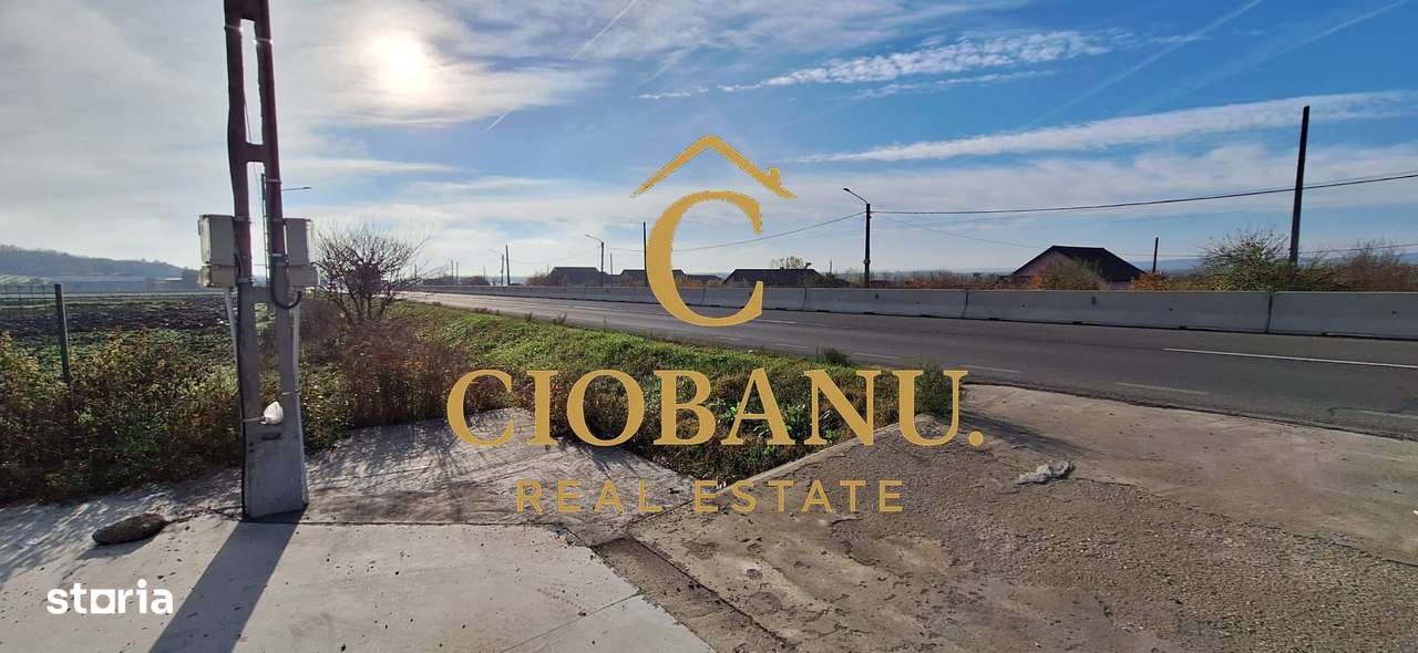 Hala de vanzare in Racarii de Jos-18