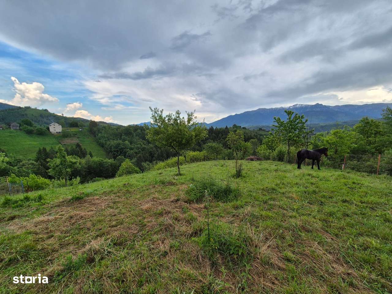 Teren, 3 456 m², -8