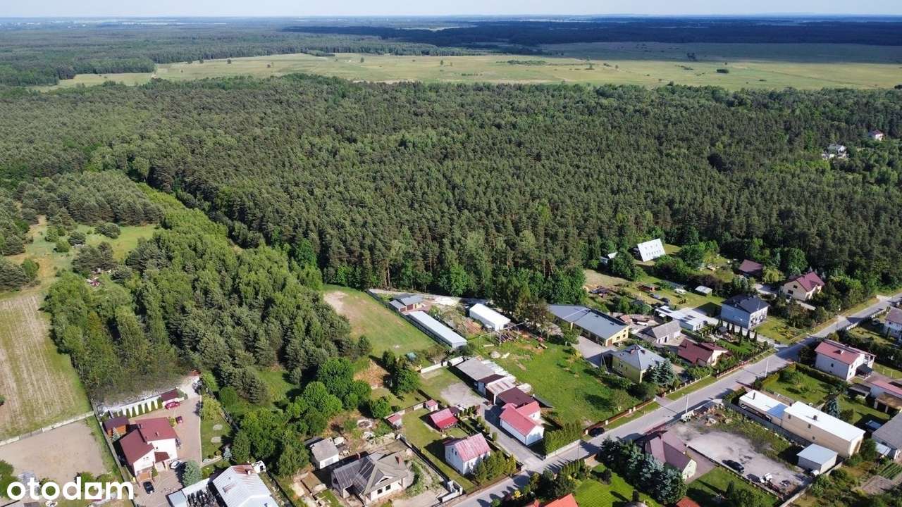 FILM / Duża działka z lasem ! Wysokie poddasze ! - Pełny obrazek: 2/20