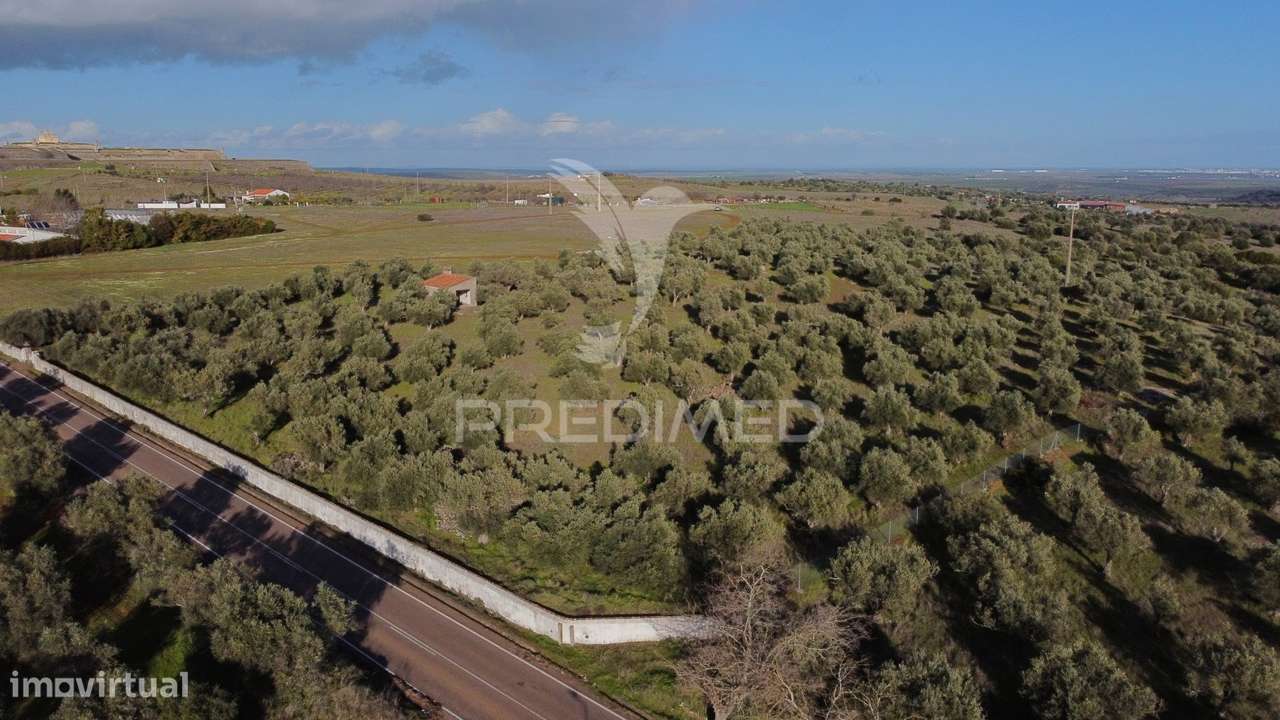 Terreno Urbanização Carvalha Elvas - Grande imagem: 5/9